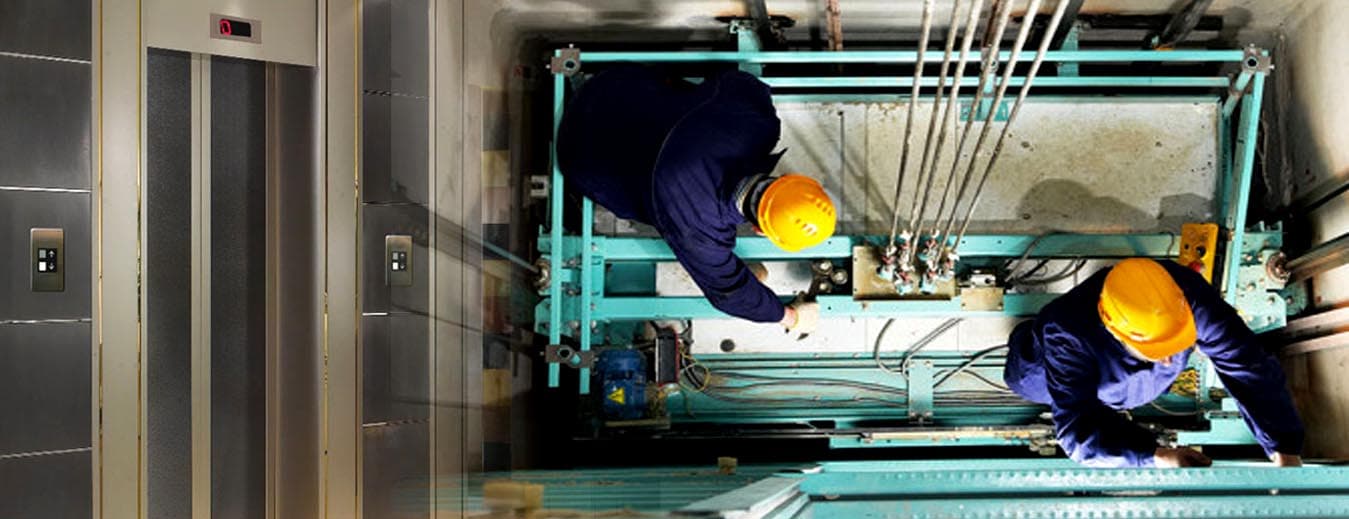 Premium Quality Standards